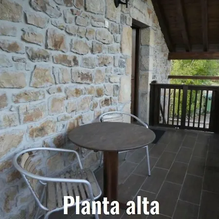Casa De Los Gorilas Selaya